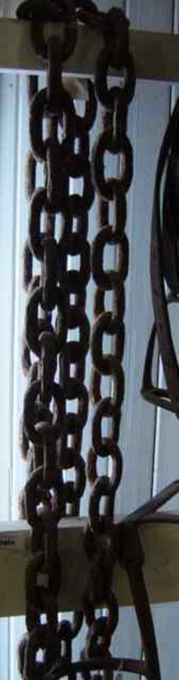 Full-size image