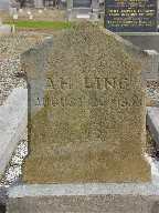 Full-size image
