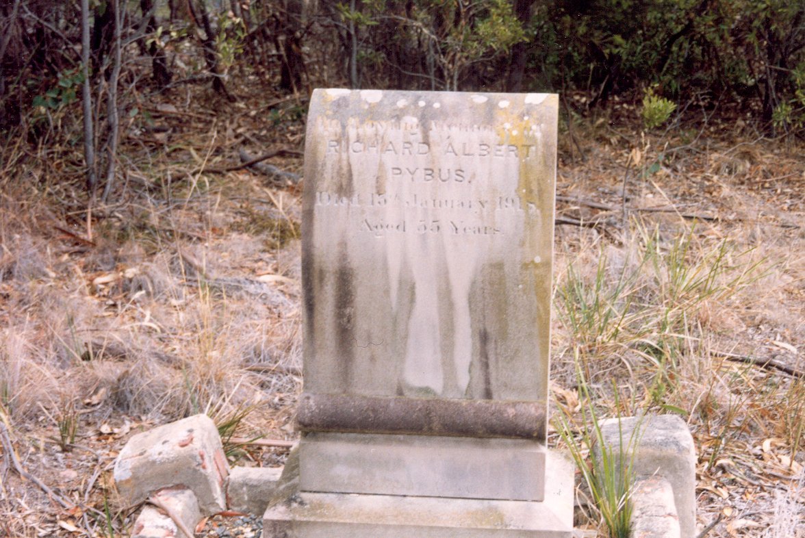 Full-size image