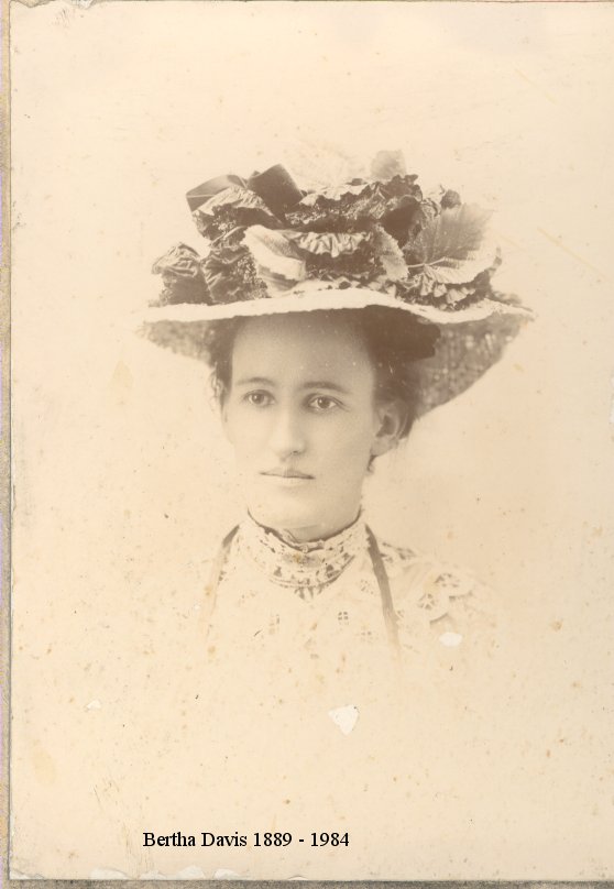 Full-size image