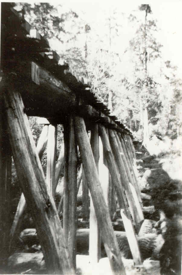 Full-size image