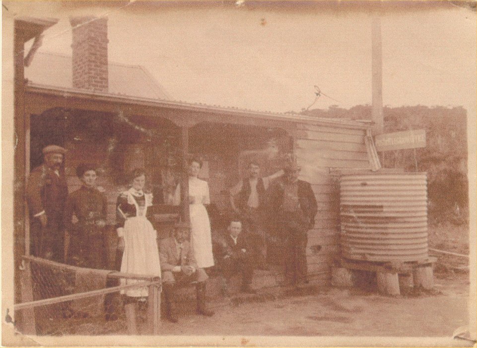Full-size image