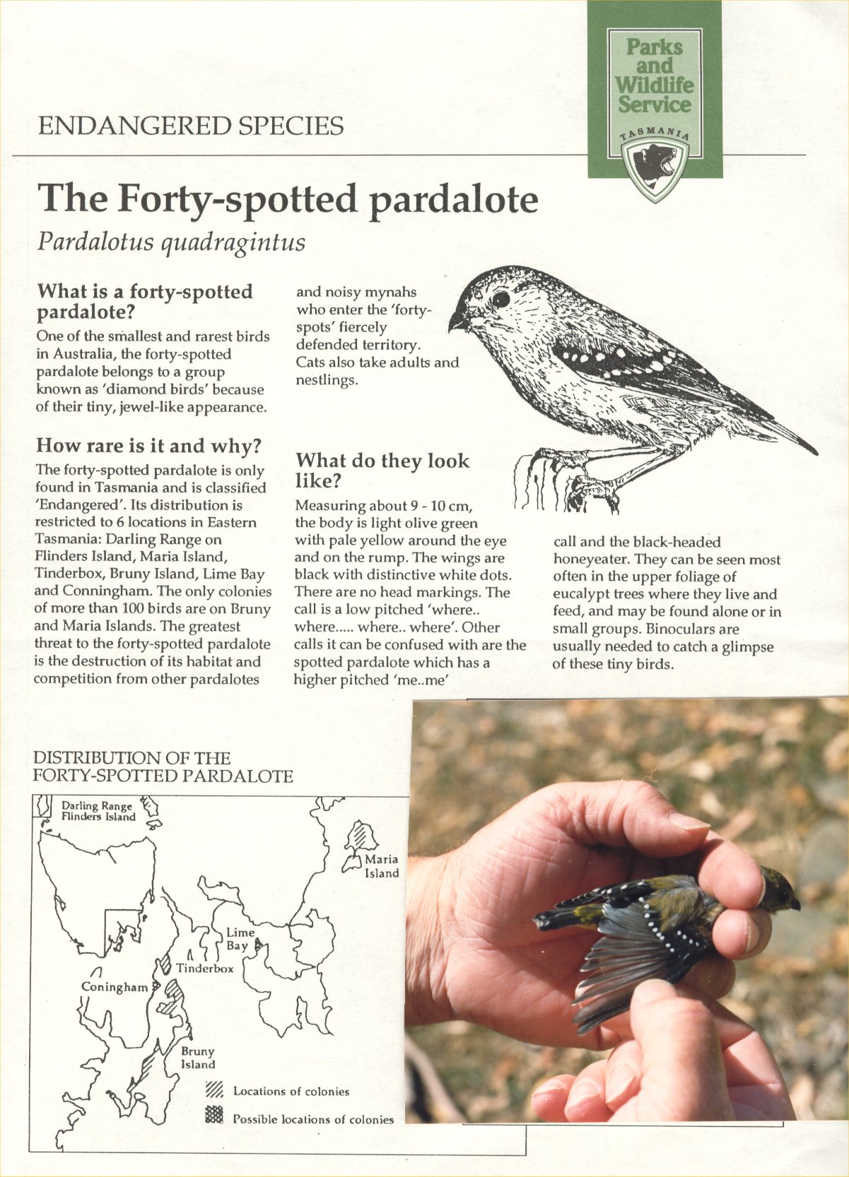 Full-size image