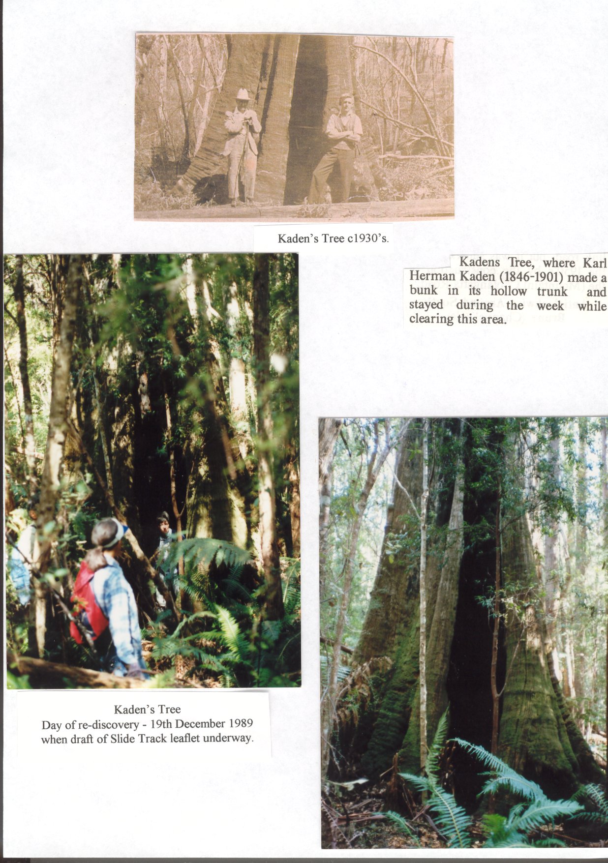 Full-size image