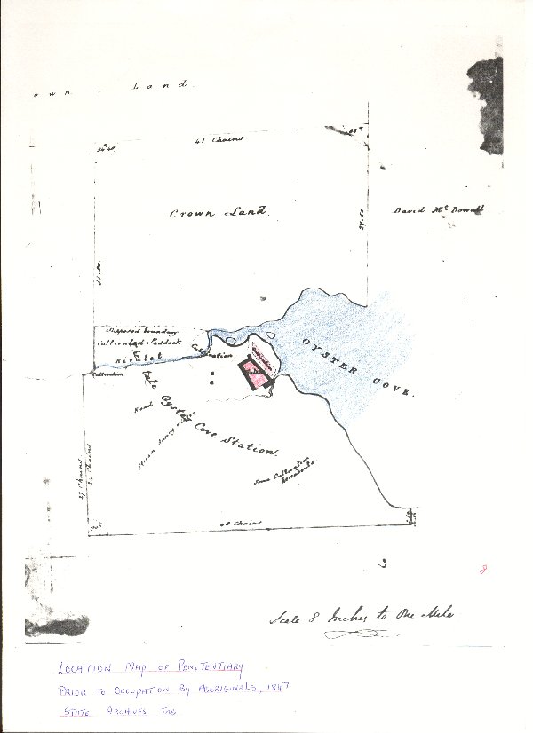 Full-size image