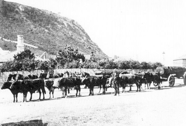 Full-size image