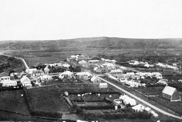 Full-size image