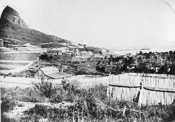Full-size image