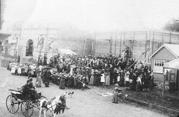 Full-size image