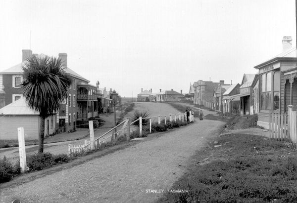 Full-size image