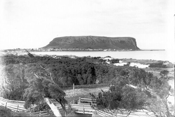 Full-size image