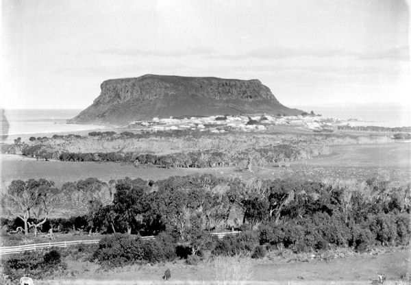 Full-size image