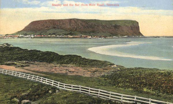 Full-size image