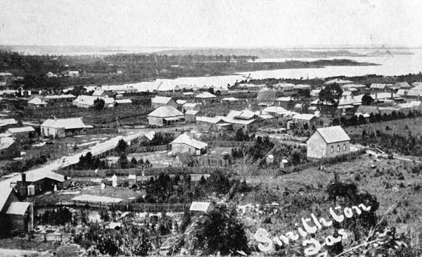 Full-size image