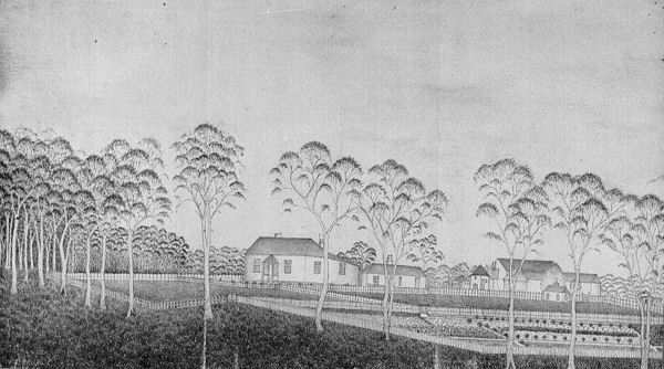 Full-size image