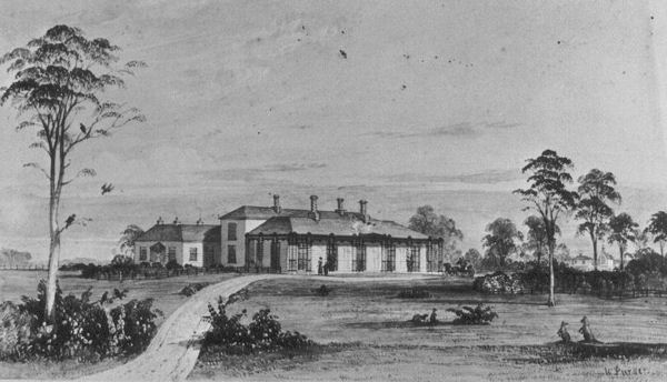 Full-size image
