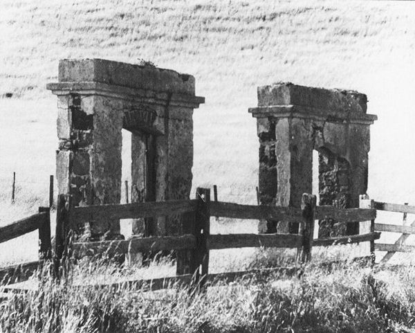 Full-size image