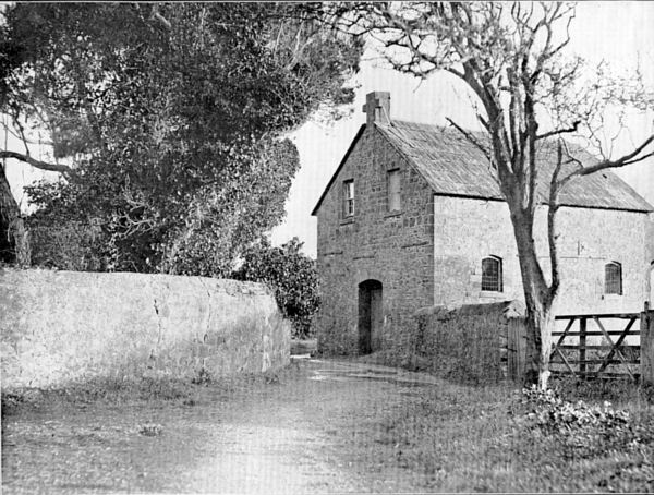 Full-size image