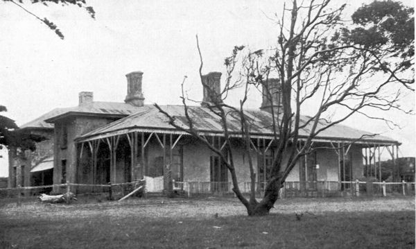 Full-size image