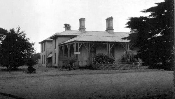 Full-size image