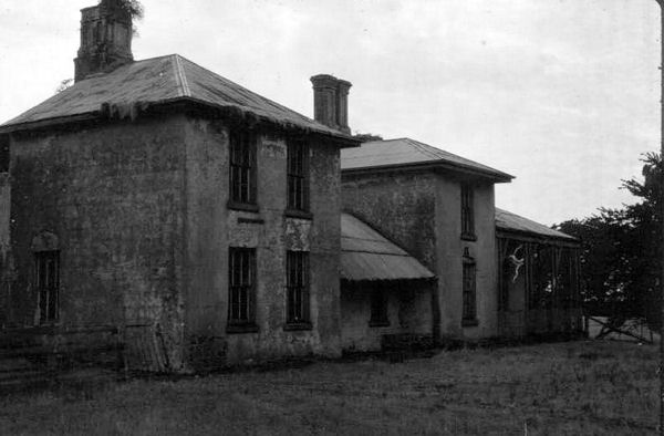 Full-size image
