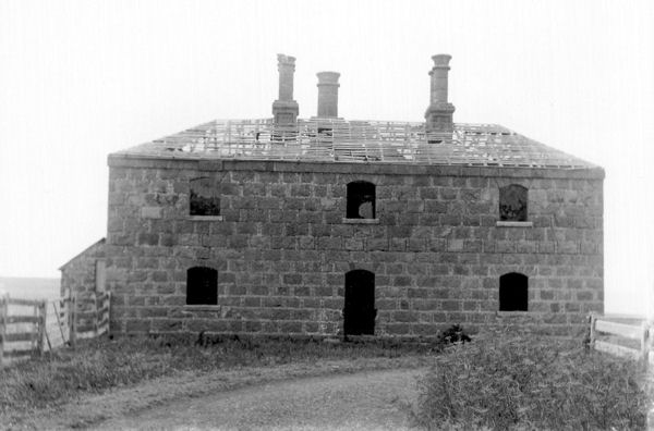 Full-size image