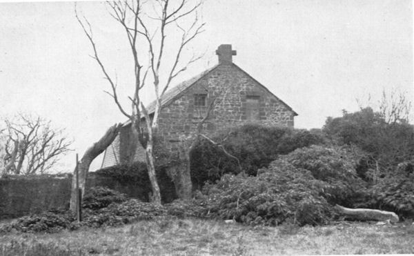 Full-size image