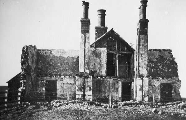 Full-size image