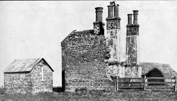 Full-size image