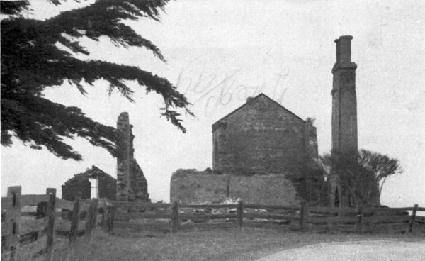Full-size image