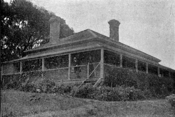 Full-size image