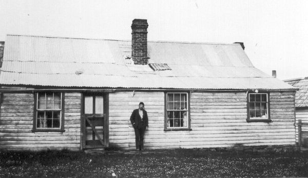 Full-size image