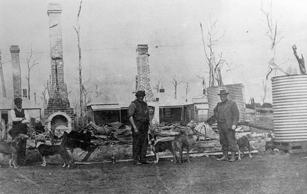 Full-size image