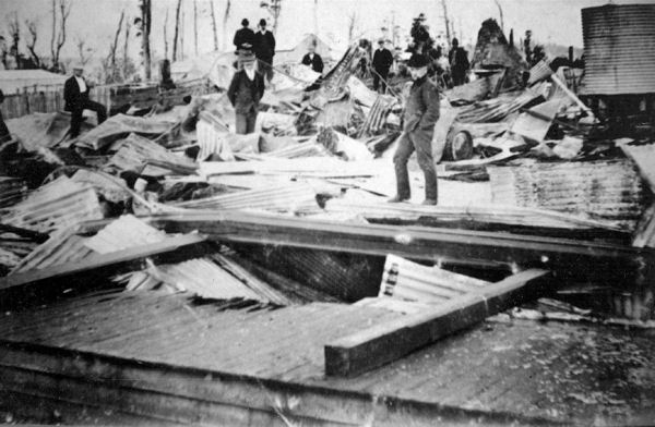 Full-size image