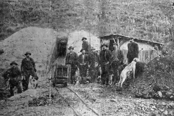 Full-size image