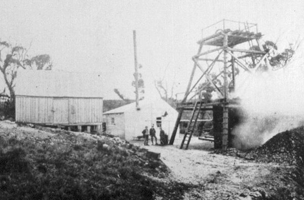 Full-size image
