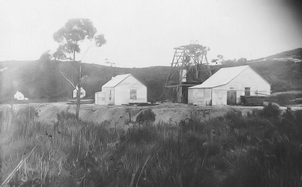 Full-size image