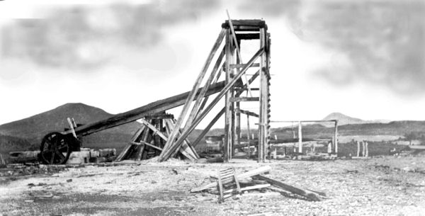 Full-size image