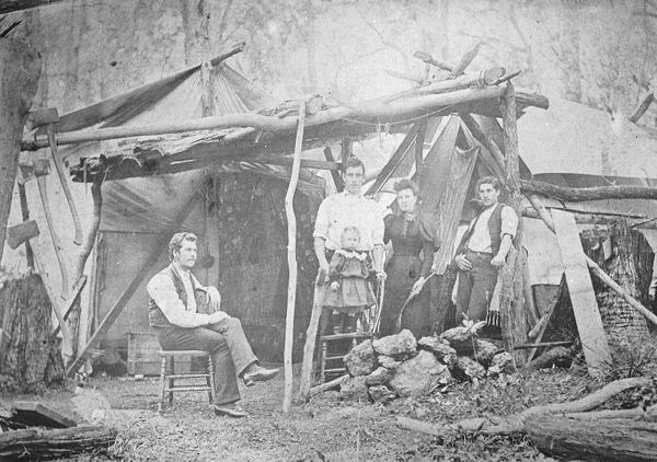 Full-size image