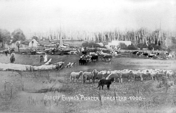 Full-size image