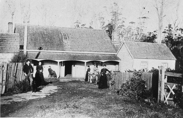 Full-size image