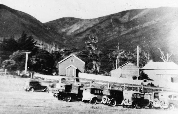 Full-size image