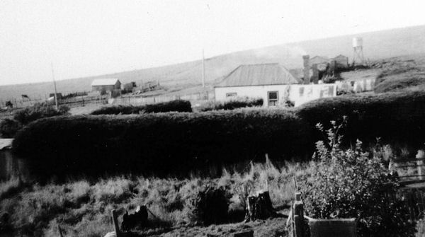 Full-size image
