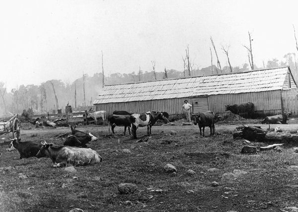 Full-size image
