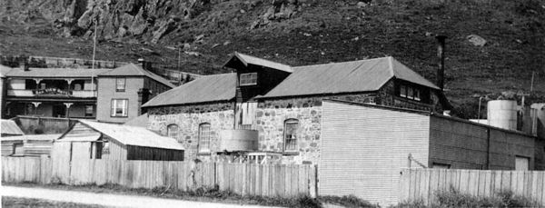 Full-size image
