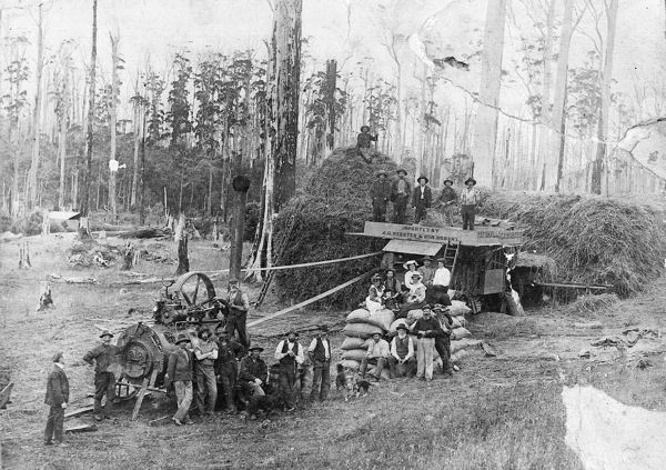 Full-size image