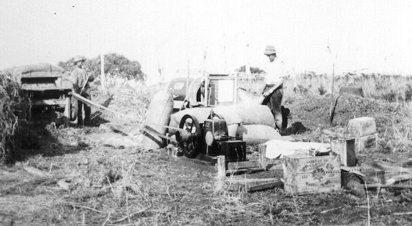Full-size image