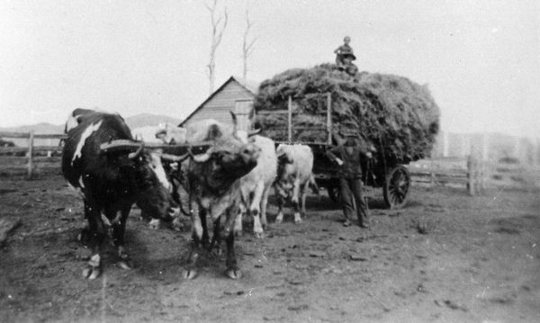 Full-size image