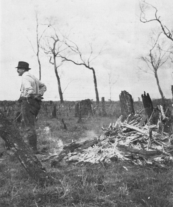 Full-size image