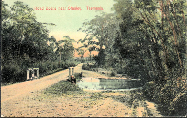 Full-size image
